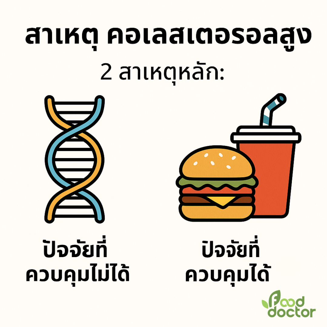 คอเลสเตอรอล สูง สาเหตุ