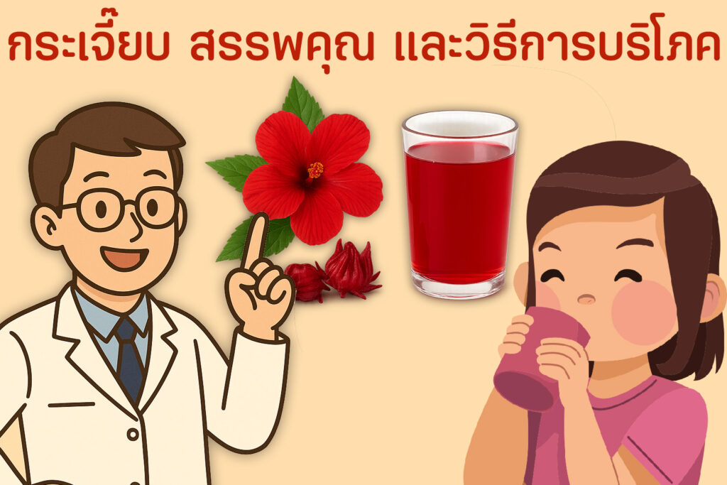 กระเจี๊ยบ สรรพคุณ และวิธีการบริโภค 