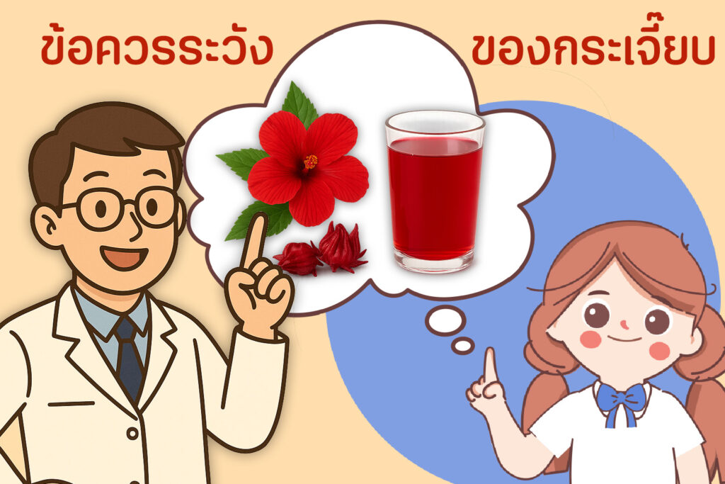 กระเจี๊ยบ สรรพคุณ และข้อควรระวัง
